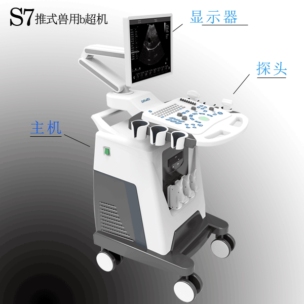 兽用b超机