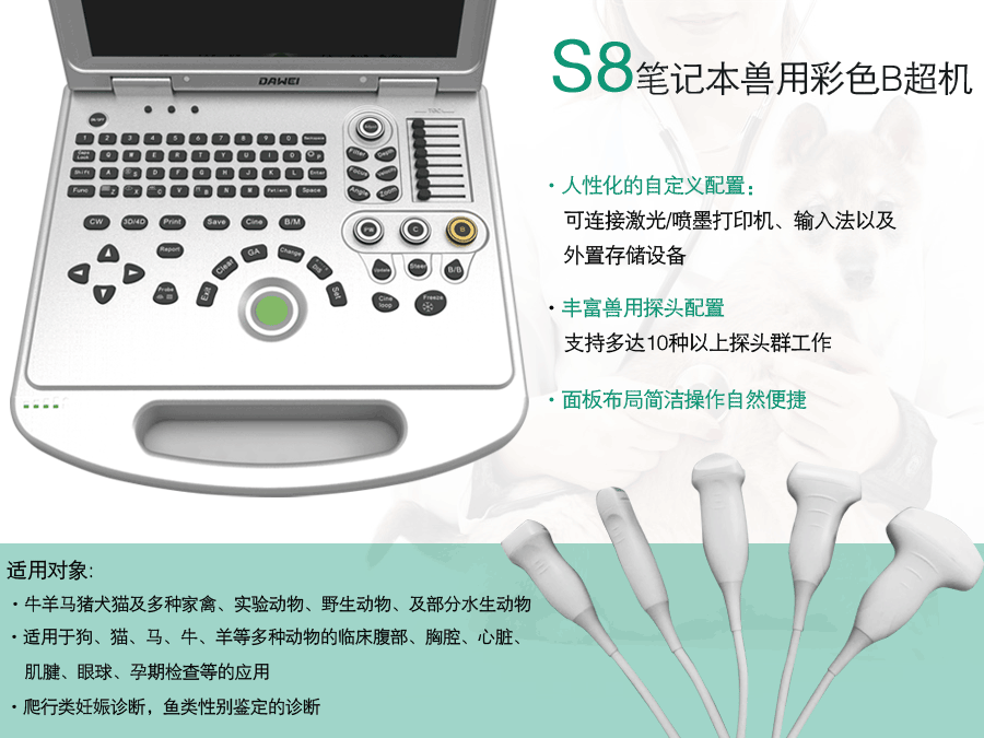 牛马b超机厂家