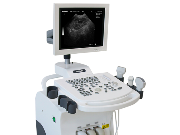 MT35宠物医院B超机-动物B超机