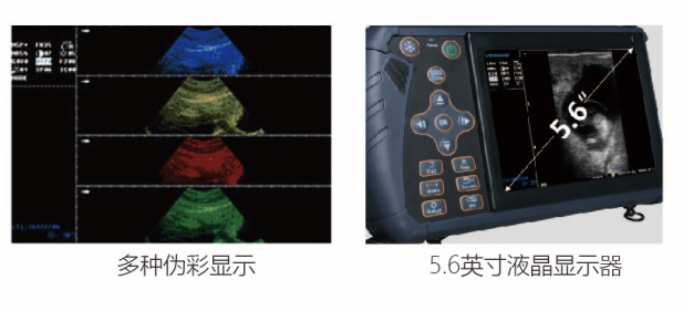 掌上兽用b超机伪彩